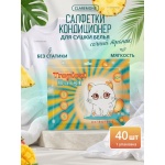 Салфетки кондиционер для сушки белья с ароматом фруктов Claremone, 40 шт Салфетки кондиционер для сушки белья с ароматом фруктов Claremone, 40 шт
